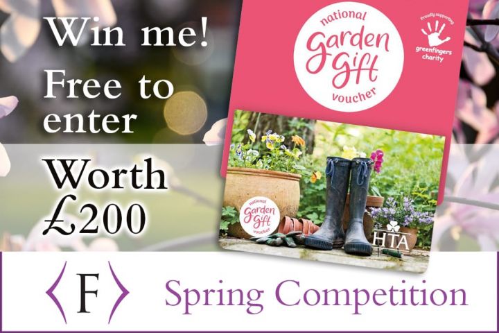 Spring competition 2021