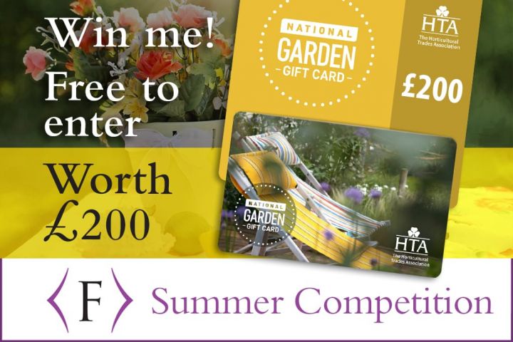 Summer competition 2020